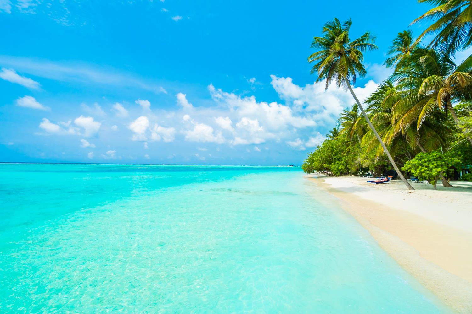 Why You Should Prefer the Caribbean Islands for Family Holidays?