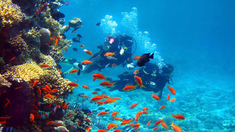 Things to Do in the Caribbean: Islands, Beach Clubs, Nightlife & Activities (2026 Guide)