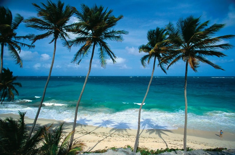 Best Time to visit Barbados